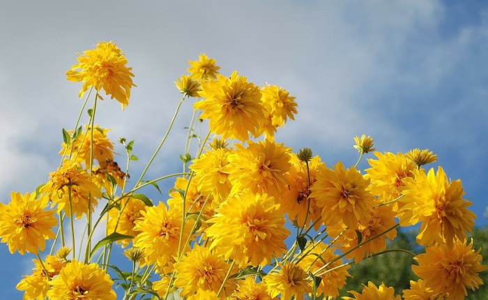 Will making new doctors work in the NHS for five years improve retention? BMJ&nbsp;Blog