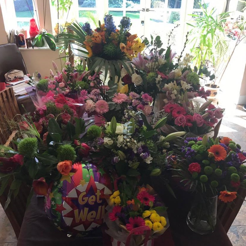 17379766_869471496542797_120361788_o